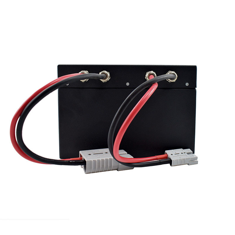 300*245*169mm Batteria del carrello a pallet nero Tempo di scarica 2-3 ore 24V 60AH